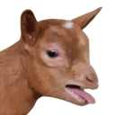 :chevremeh: