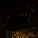 ChatFantome