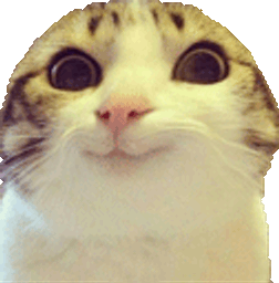 :Museau: