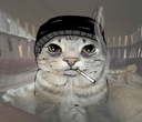 :chatserpent_doomer: