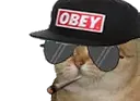 :Sodium_casquette: