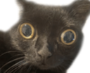 :Chat_con_: