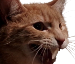 :Monsieur_Moustache: