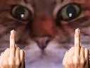 :chat_nrv2fouwesh: