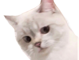 :chat45: