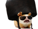 :hamster_juif: