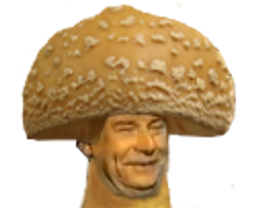 :jesus_mycose:
