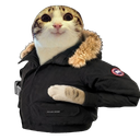 :chat_marrant_goose: