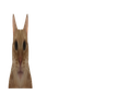 :chatmalcadre3: