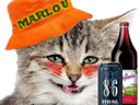 :cat_silly_marlou:
