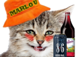 :cat_silly_marlou:
