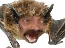 :risiattaque: