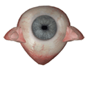 :oeil: