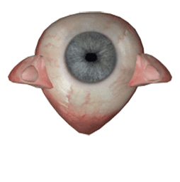 :oeil: