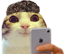 :chat_marrant_brozer: