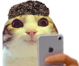 :chat_marrant_brozer: