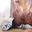 Photo de profil de anus_puant2