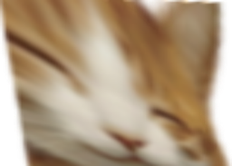 :Chat_large:
