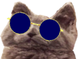 :catlunette3: