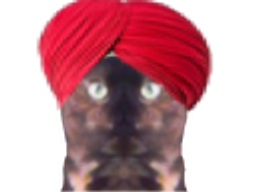:indien: