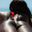 Photo de profil de Col_Chestbridge