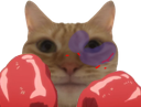 :chat_boxe: