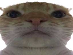 :Chak: