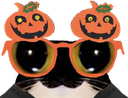 :chat_lunette_halloween: