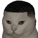 :Thugo_chat: