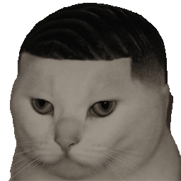 :Thugo_chat: