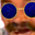 Photo de profil de Socks