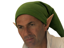 :Zidane_link: