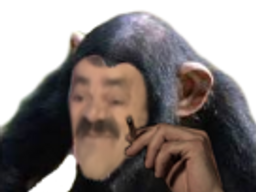 :Monkey: