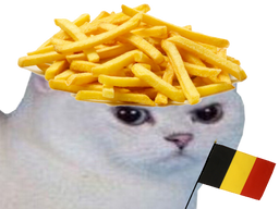 :chat_belge: