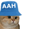 :chat23: