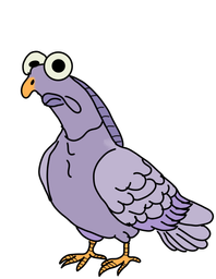 :Volutes_pigeon_: