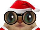 :chatlunettenoel: