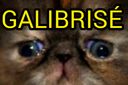 :GALIBRISAX_:
