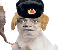 :Mockva_Chien_Bourdon: