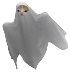 :chat_fantome2: