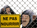 :ne_pas_nourrir: