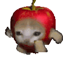 :Chapomme: