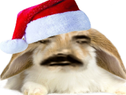 :Pinpin_De_Noel: