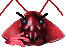:Cafard_fumant: