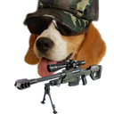 :Chien_soldat: