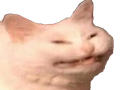 :chat_trisomix: