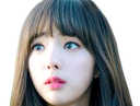 :chaechokbar:
