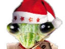 :mante_noel: