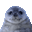 Photo de profil de Silencedeter