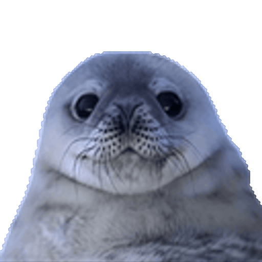 PhoqueDeter